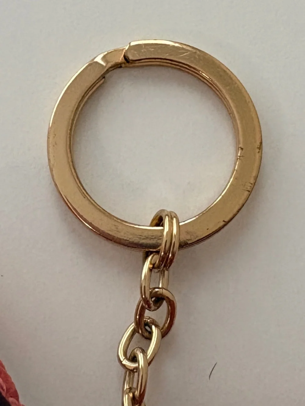 Coach mini skinny